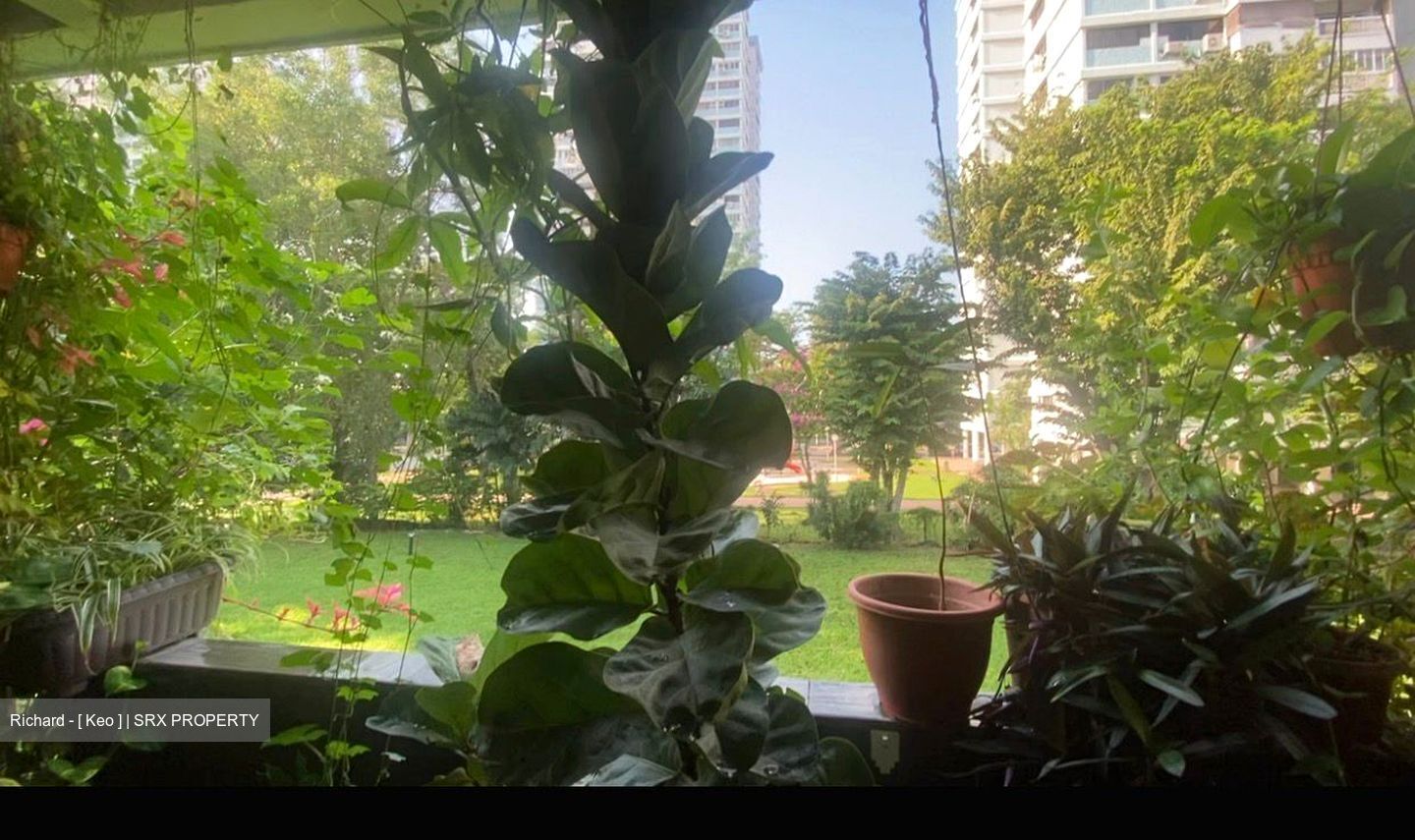Laguna Park (D15), Apartment #561147881